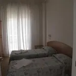 Oxford Rimini