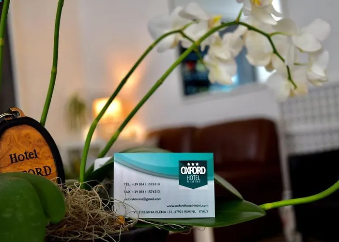 Oxford 3* Rimini